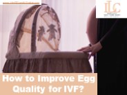 How to Improve Egg Quality for IVF?