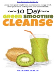 The Smoothie Diet Meal Plan