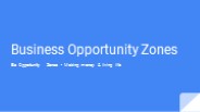Business Opportunity Zones