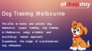 Dog Training Melbourne