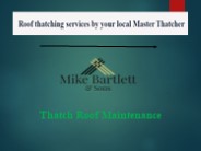 Thatch Roof Maintenance (1)