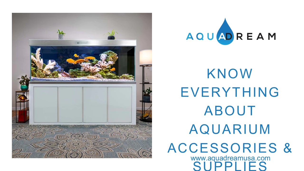 Know Everything About Aquarium Accessories & Supplies