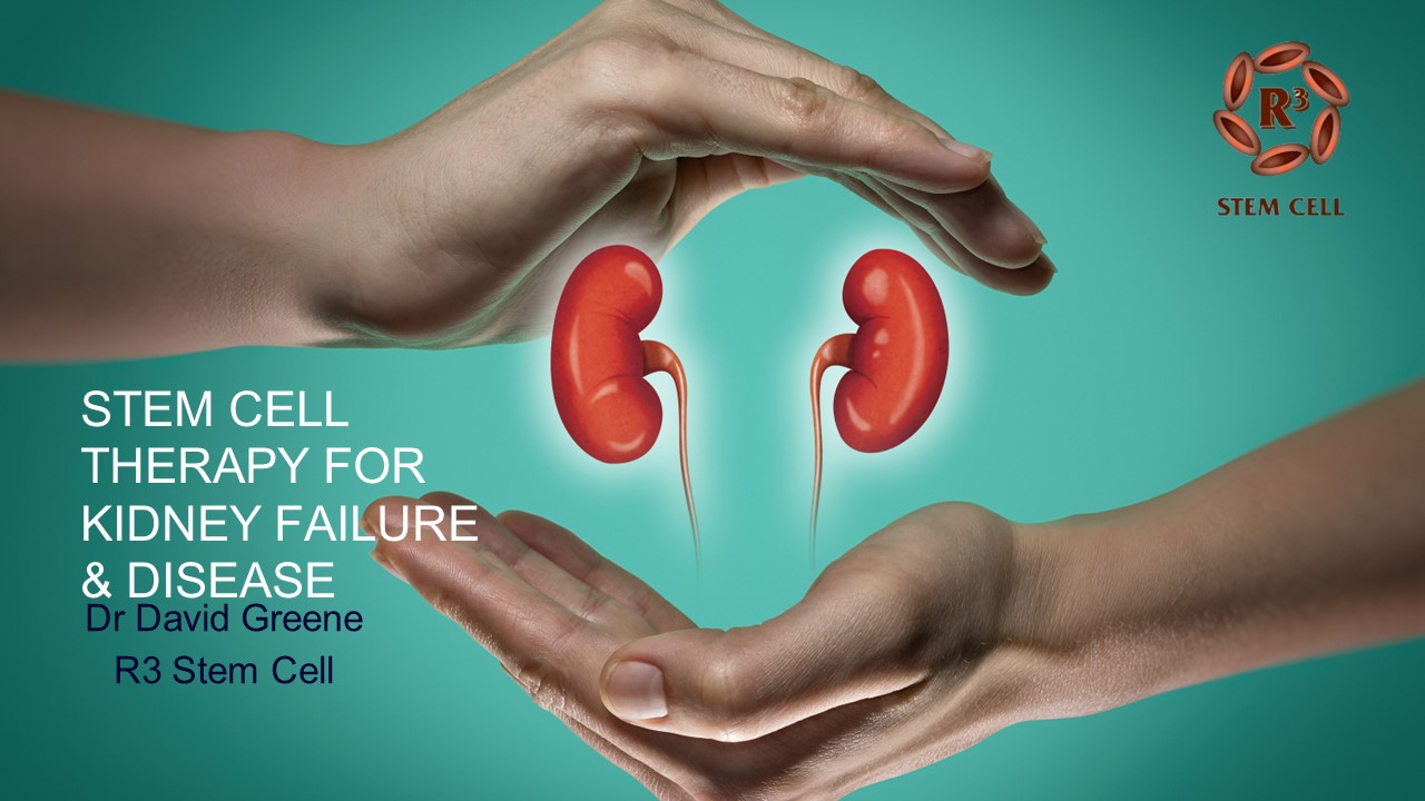 Stem cell Therapy For Kidney Failure & Disease | Dr David Greene