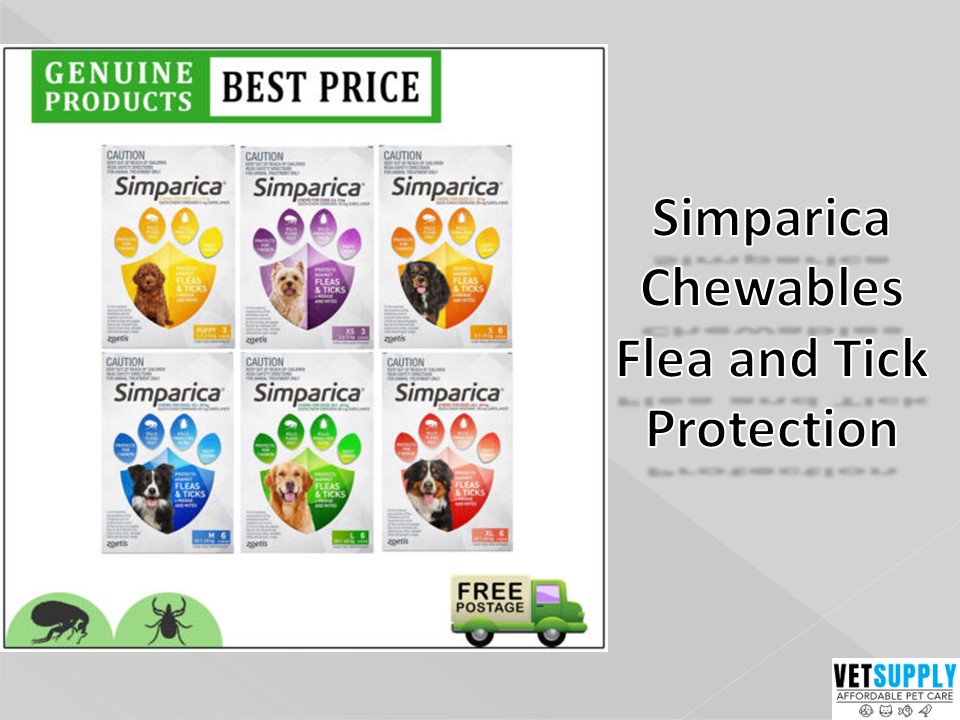 PPT Simparica Chewables Flea and Tick Protection for Dogs Dog