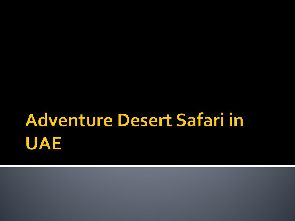 Adventure Desert Safari in UAE