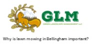 Why is lawn mowing in Bellingham important?