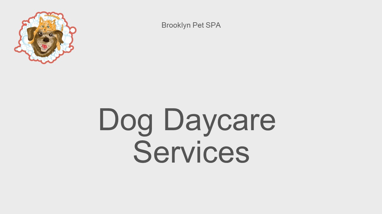 Brooklyn Pet SPA - Best for Daycare Services