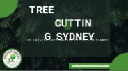 Tree Cutting Sydney