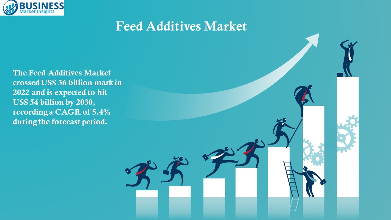 Feed Additives Market