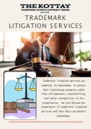 Trademark litigation services