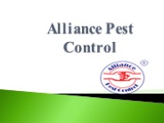 Cockroach Pest Control in Kharghar
