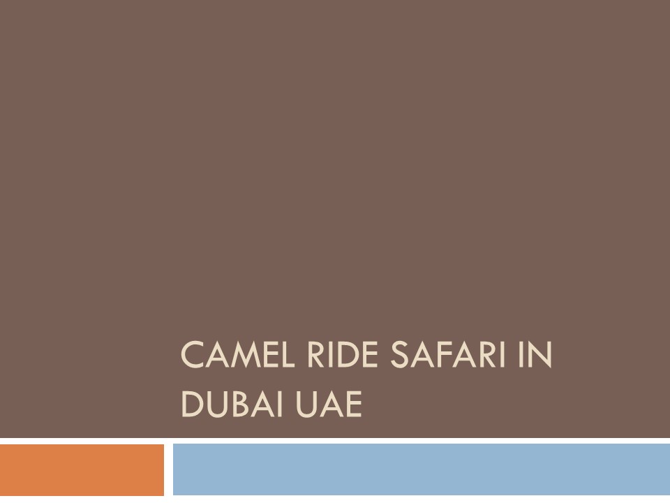 Camel Ride Safari in Dubai UAE