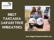 Best Tanzania Safari Tour Operators