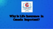 Why Is Life Insurance in Canada Important?