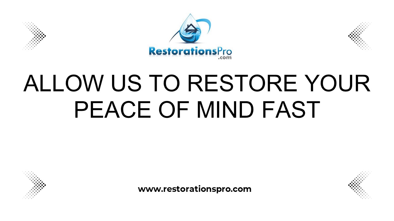 Water Removal  Experts in Madisonville