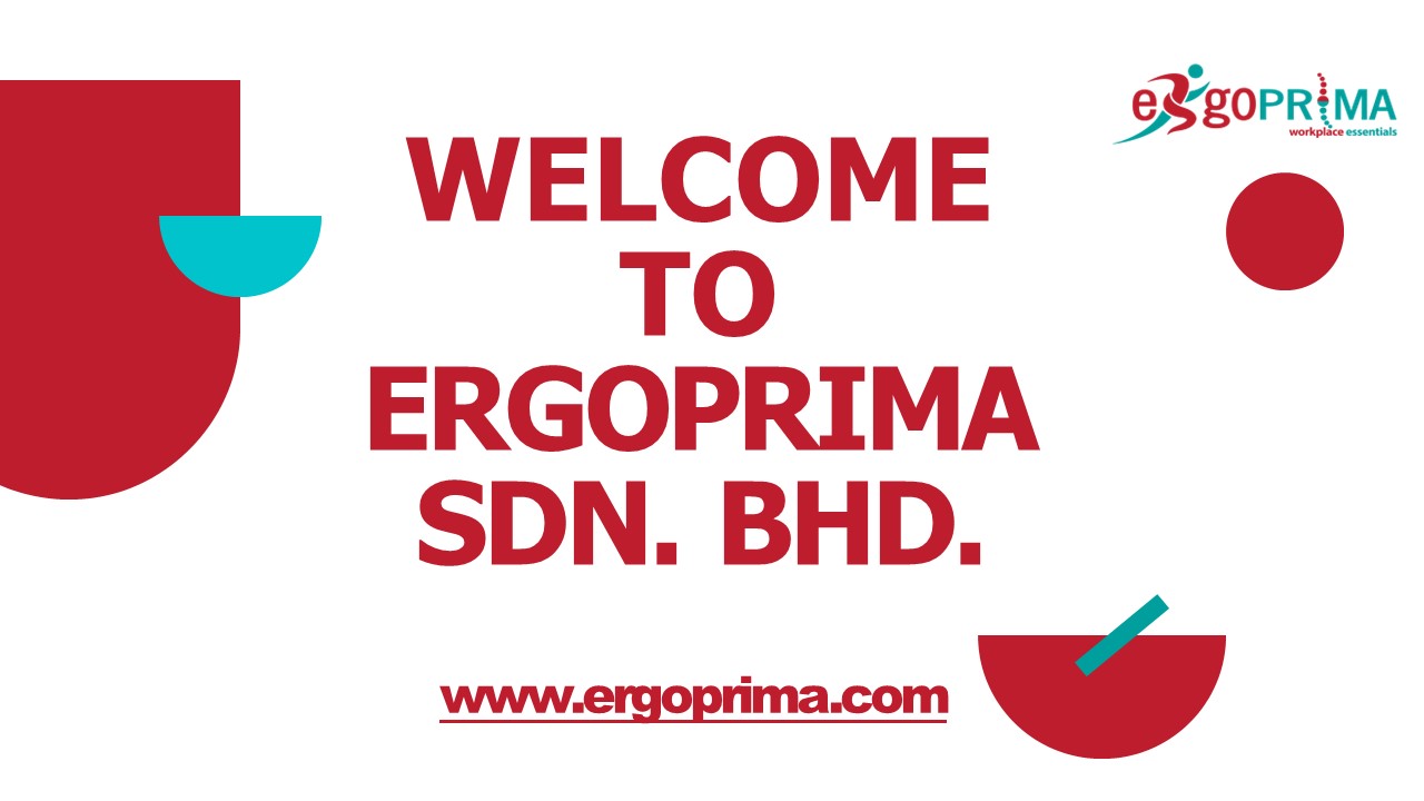 Basic Ergonomic Training Provider for Your Business Needs