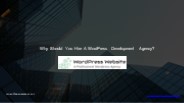 Why Should You Hire A WordPress Development Agency?