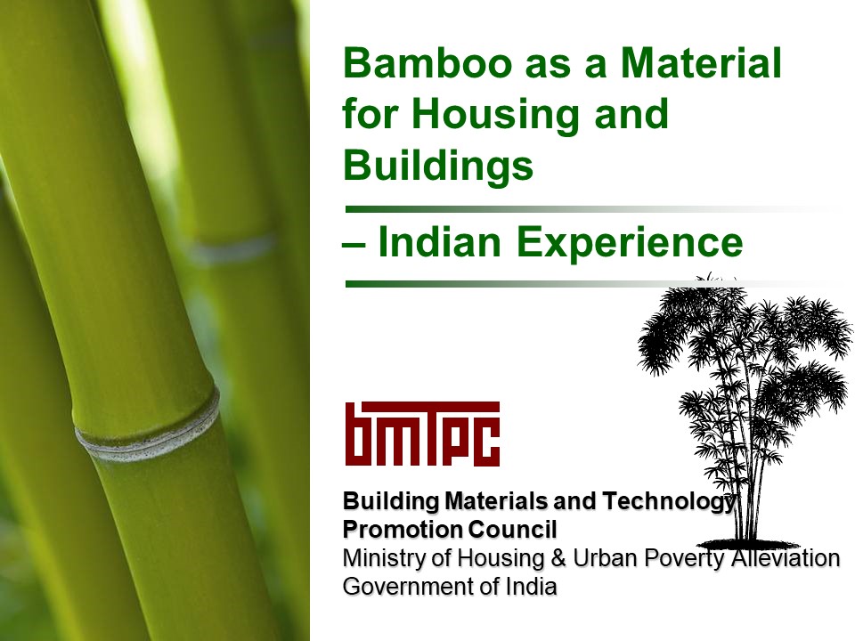 Bamboo PowerPoint ppt