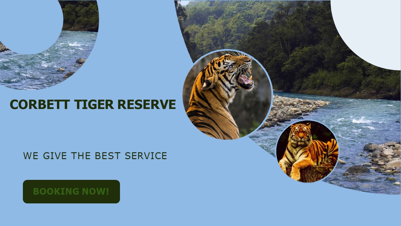 Corbett National Park Safari