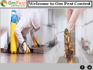 Get Best Pest Control Services at Om Pest Control