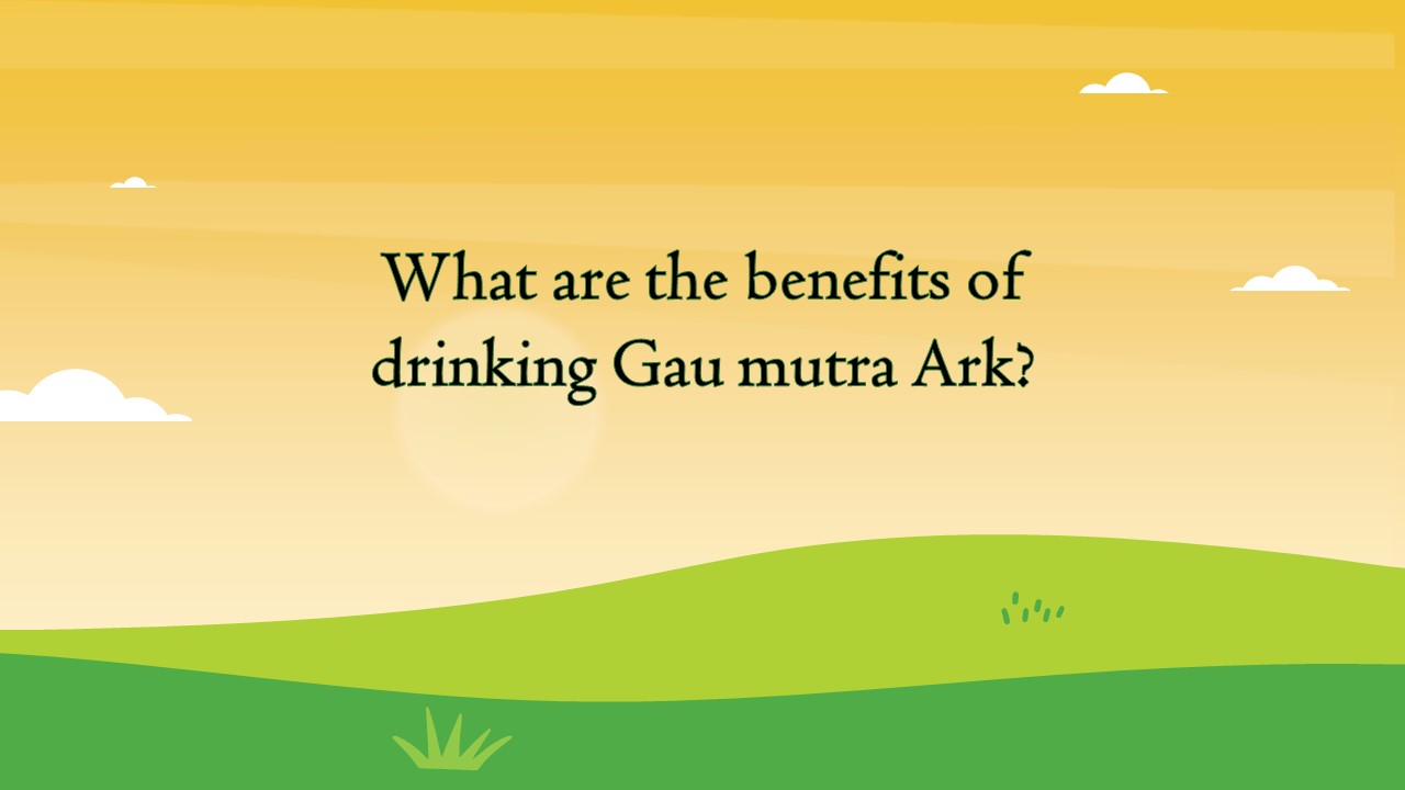 What are the benefits of drinking Gir cow Ark?