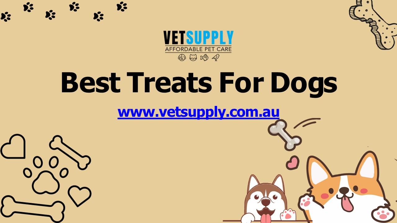 PPT Dog Treat Treats For Dogs Dog Treat Toys VetSupply 