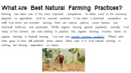 What Are Best Natural Farming Practices?