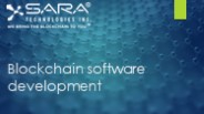 Blockchain software development