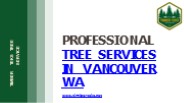 Professional Tree Services in Vancouver WA