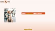 Elegant Dog collar Online store