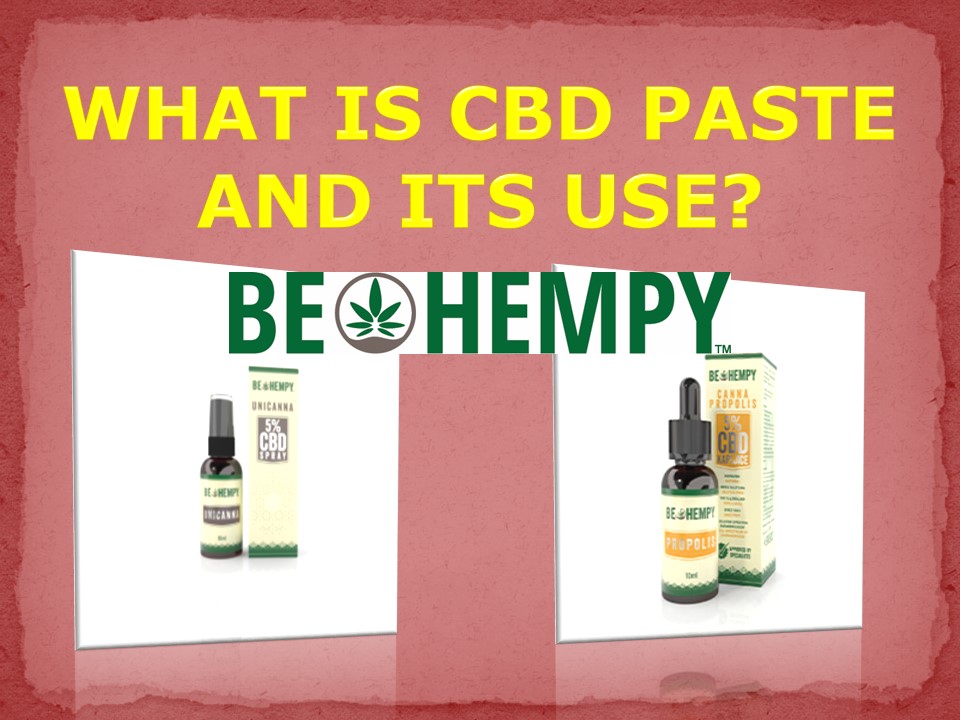 What is CBD paste and its use?