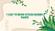 7 Easy to Grow Kitchen Garden Plants (1)
