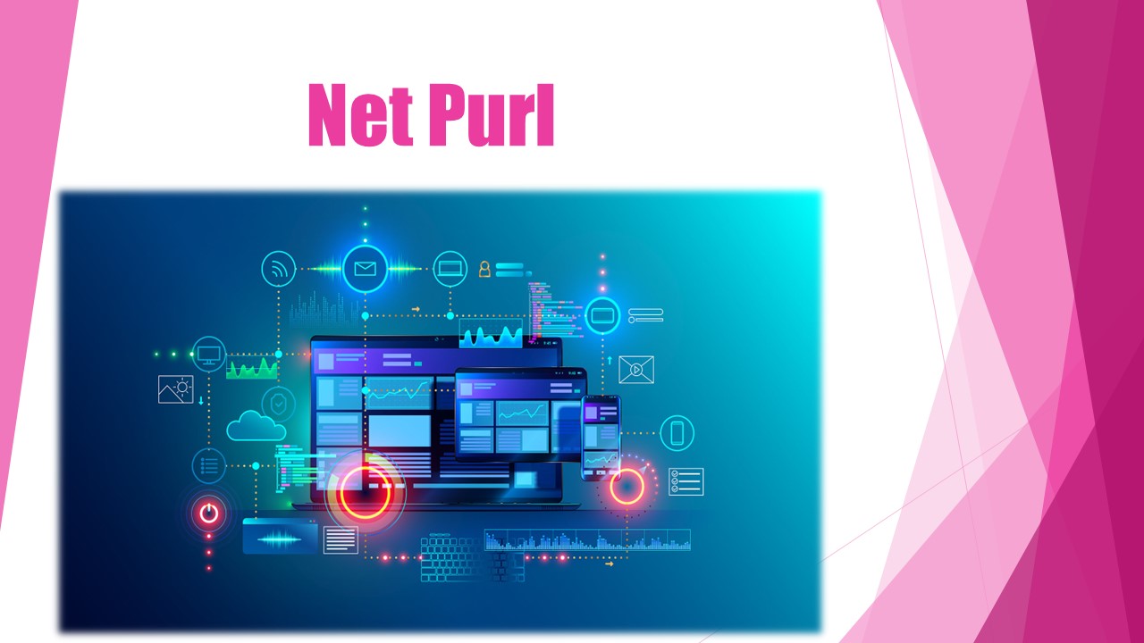 The Rise of Web Development Companies in Pakistan