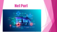 The Rise of Web Development Companies in Pakistan