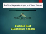 Thatched Roof Maintenance Cadnam