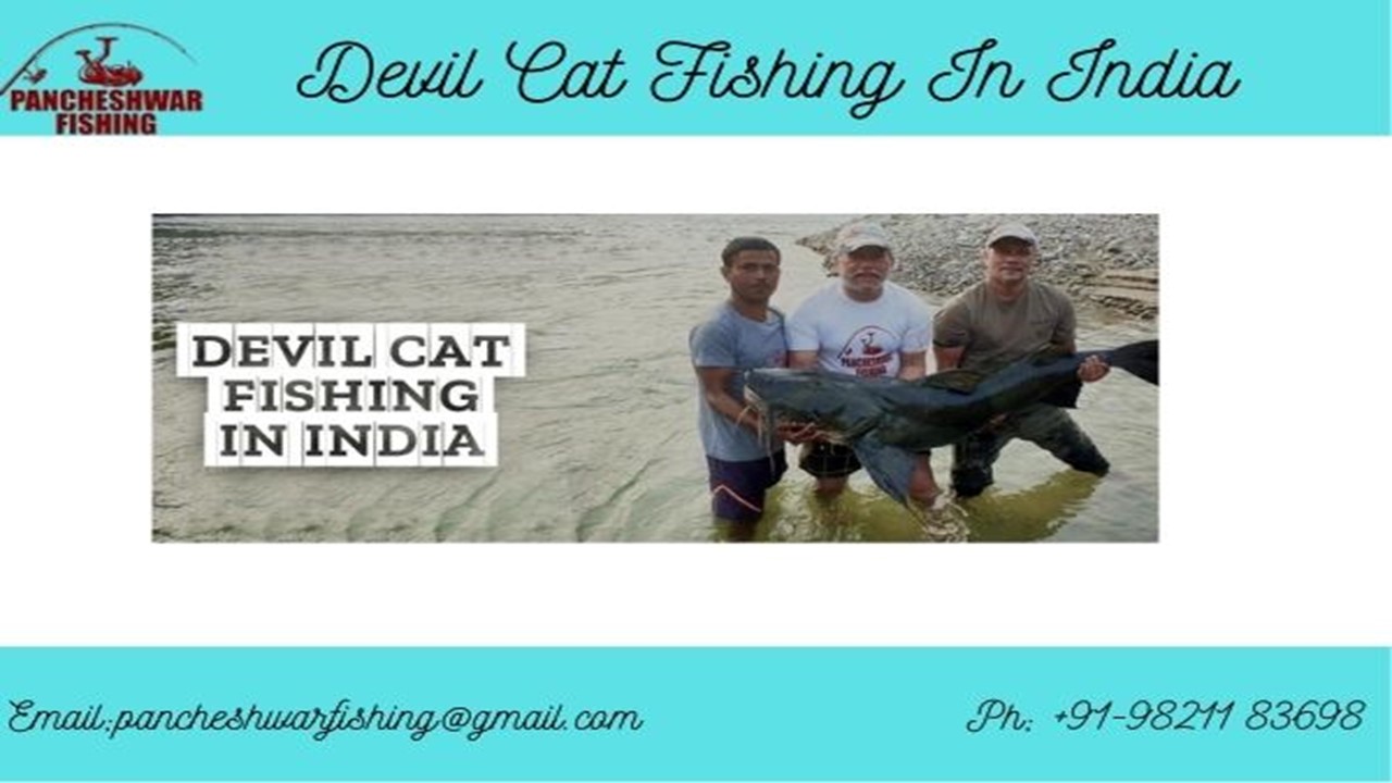 Devil Cat fishing in india