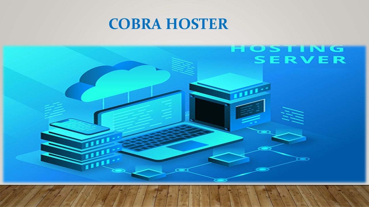 The best Hosting Options for WordPress Sites