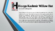 Kashmir WIllow Bats India