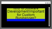 Software Development Important for Custom Businesses