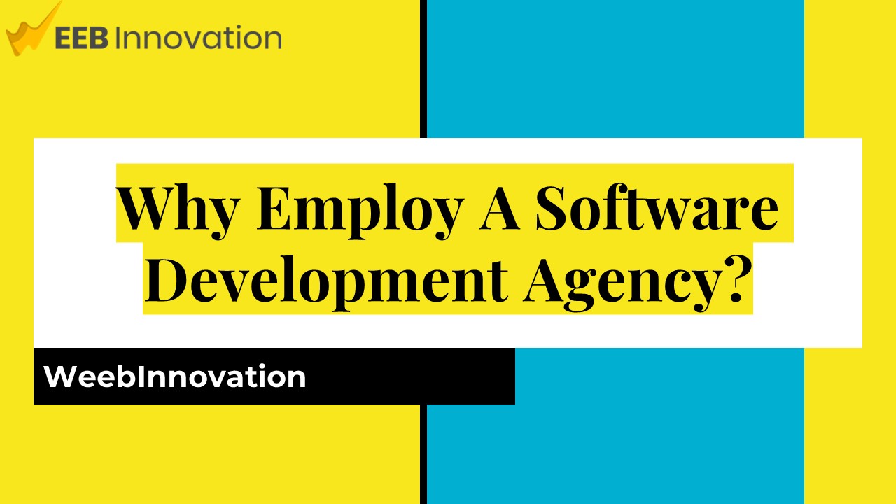 Why Employ A Software Development Agency?