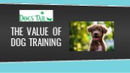 Dogs Tail - The Value of Dog Training