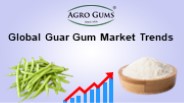 Global Guar Gum Market Trends