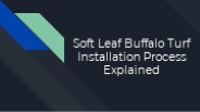 Soft Leaf Buffalo Turf Installation Process Explained