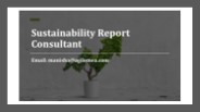 Sustainability Report Consultant (2)