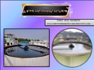 STP Plant Manufacturers