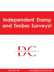 Damp Consultants