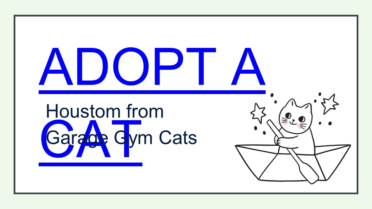 PPT Why You Should Adopt a cat in Houston PowerPoint presentation free to download id