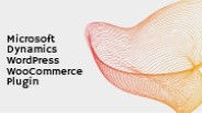 Microsoft Dynamics Woocommerce ERP Plugin - Captivix
