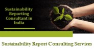 Sustainability Report Consulting Services
