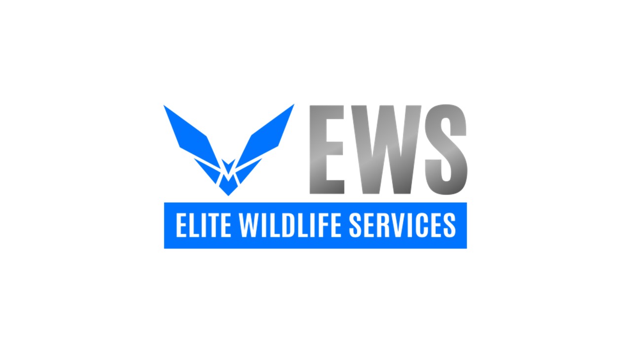 Bat Removal Elite Wildlife Services